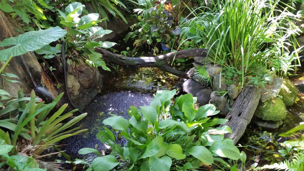 Cairns Gateway Resort Eksteriør bilde